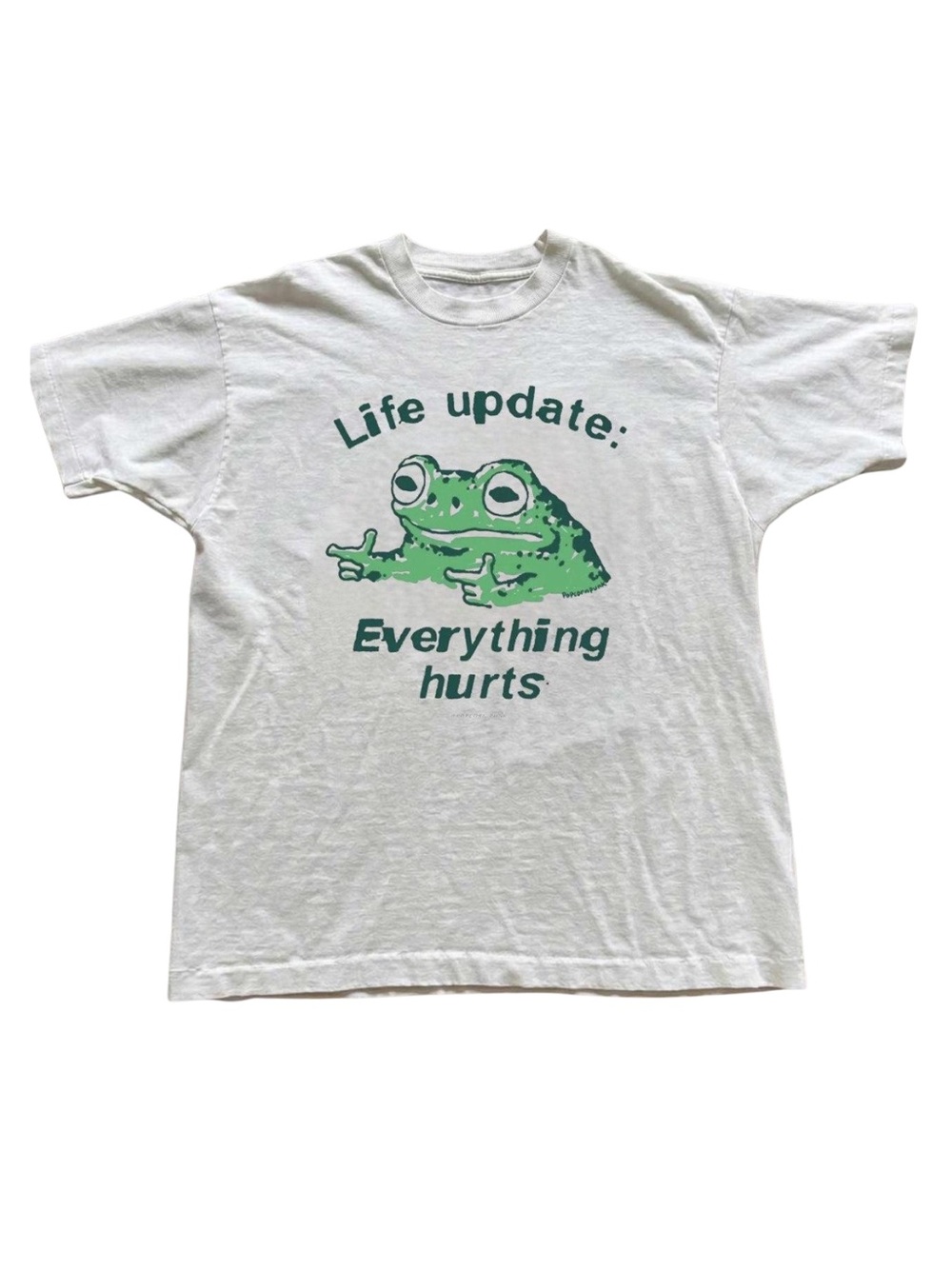 Gildan Life Update Frog Graphic T-Shirt - White with Green Print
